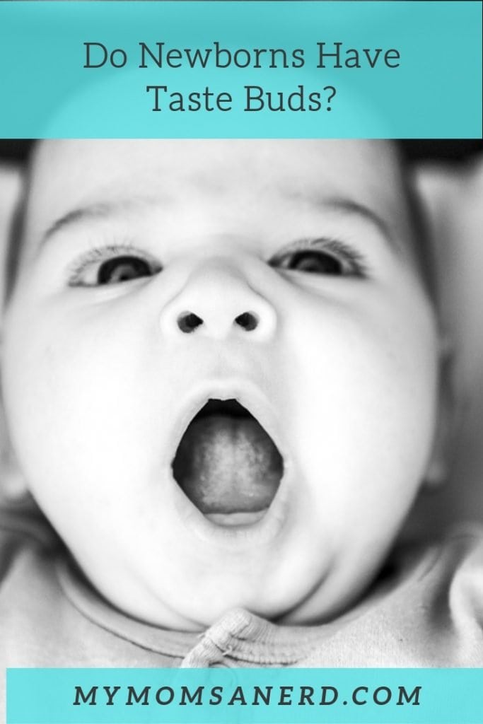 do newborns have taste buds?
