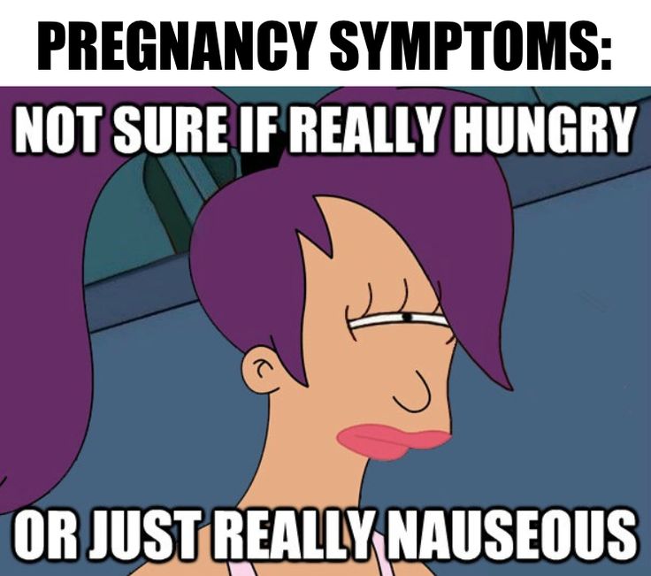 nausea or hunger pregnancy meme
