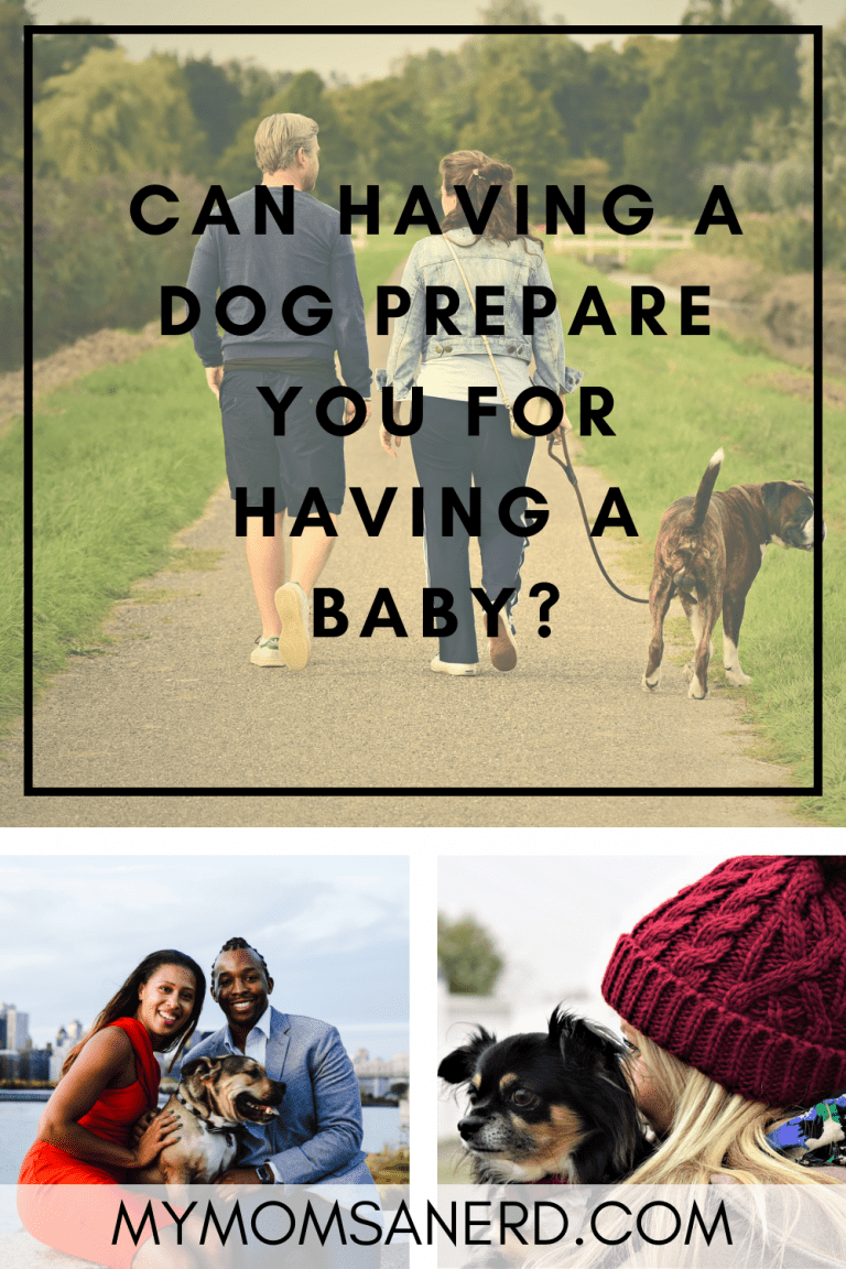 Can Having A Dog Prepare You For Having a Baby? • My Mom's a Nerd