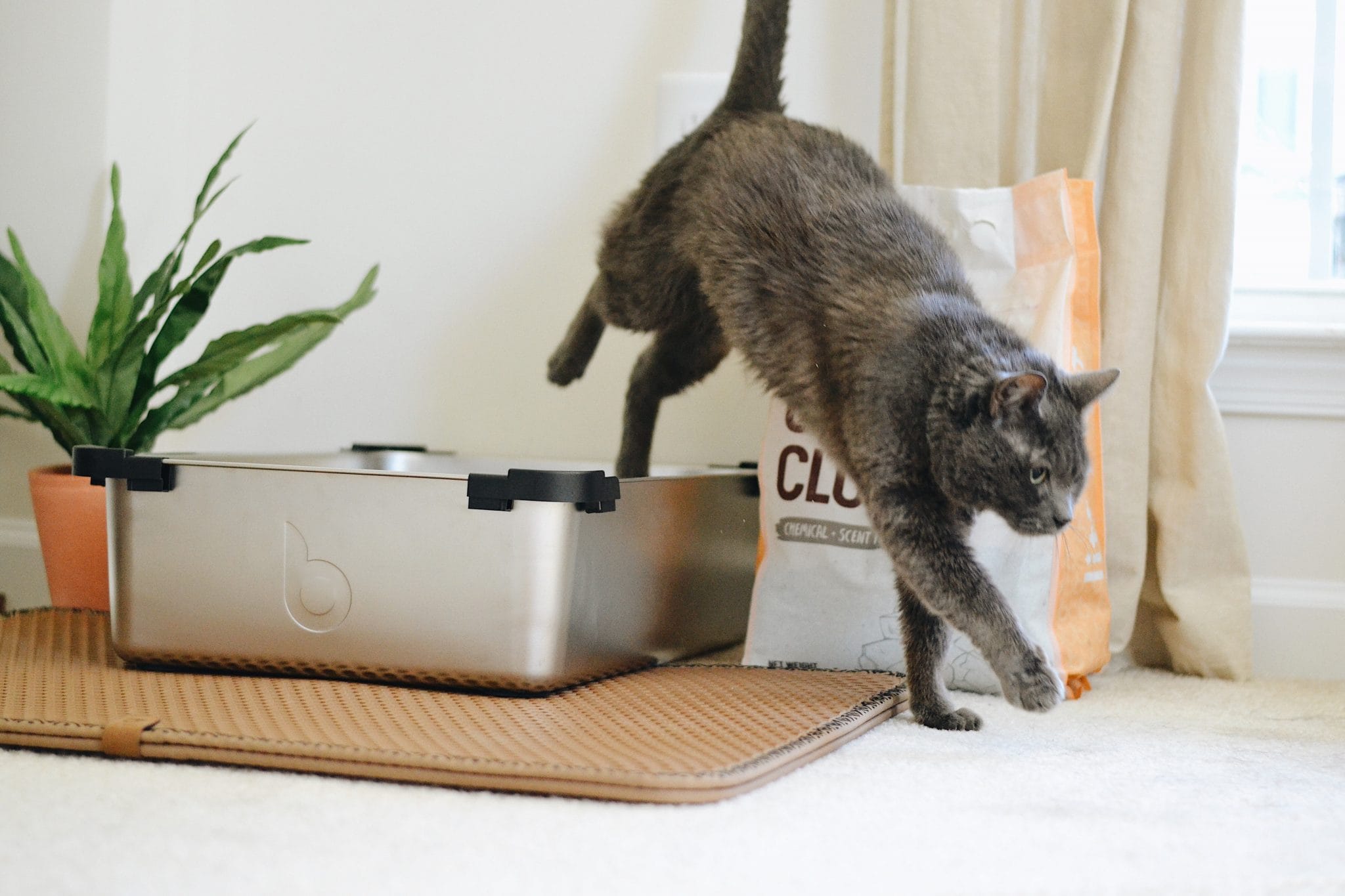Babyproofing With Cats How To Childproof Cat Food and The Litter Box