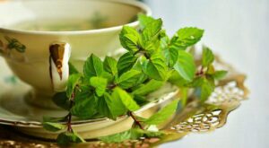 Refreshing Names That Mean Mint | 53 Names for Girls and Boys • My Mom ...