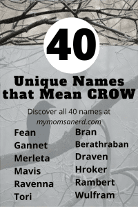 Names That Mean Crow - 40 Awesome Ideas for Boys and Girls • My Mom's a