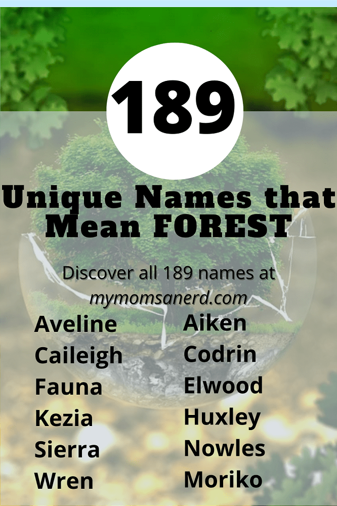 Names That Mean Forest Name Pin Template