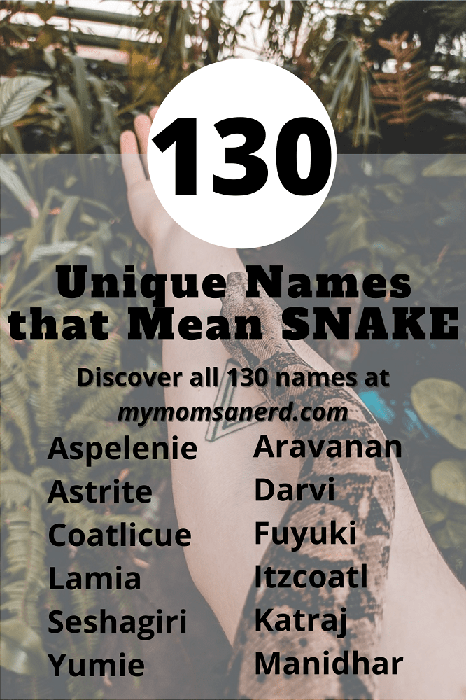 Names That Mean Snake or Serpent Name Pin Template