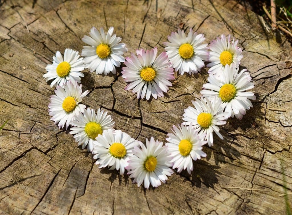 Names That Mean Spring