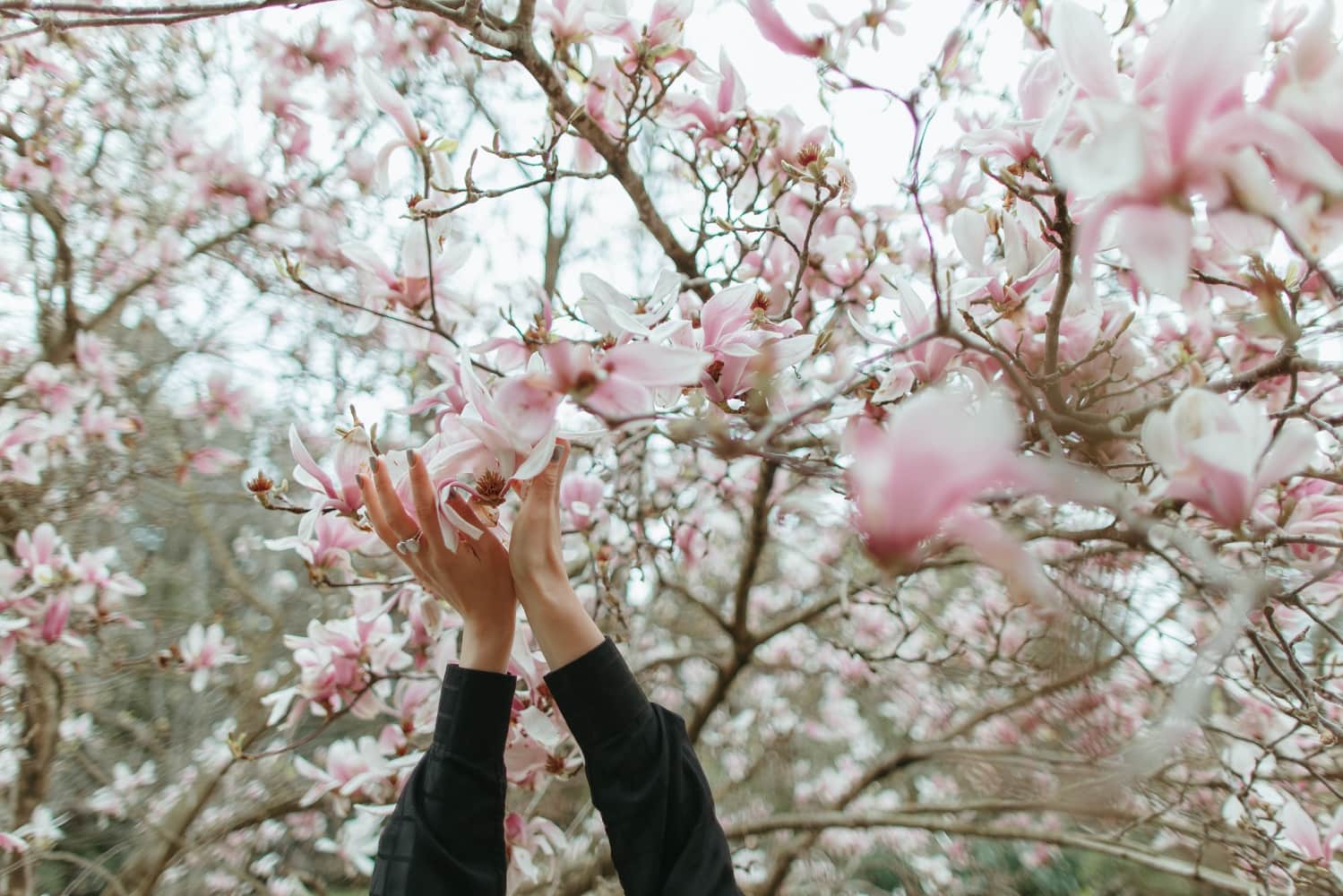 90+ First and Last Names That Mean Garden or Gardener • My Mom's a Nerd