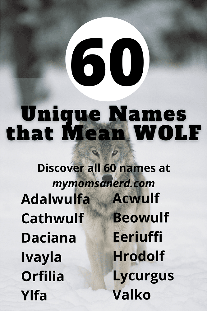 Names That Mean Wolf