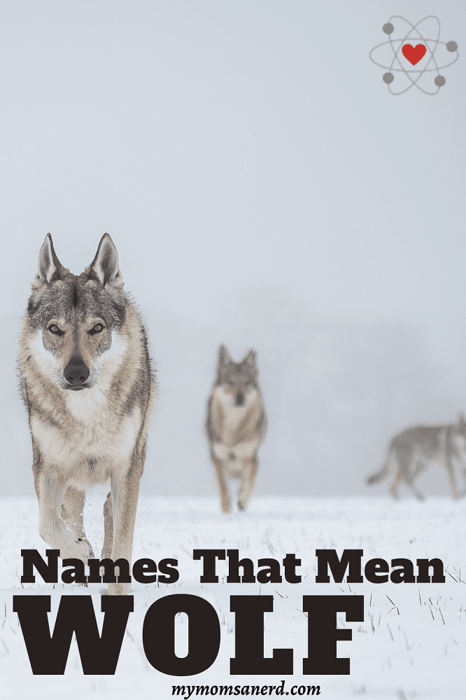 Names That Mean Wolf