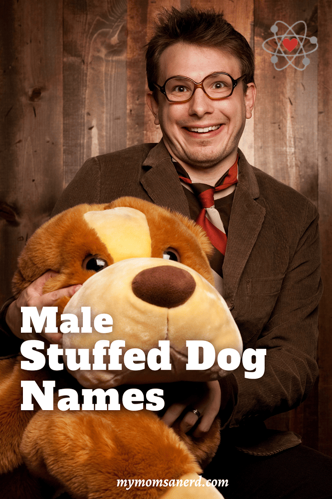 Stuffed Dog Names
