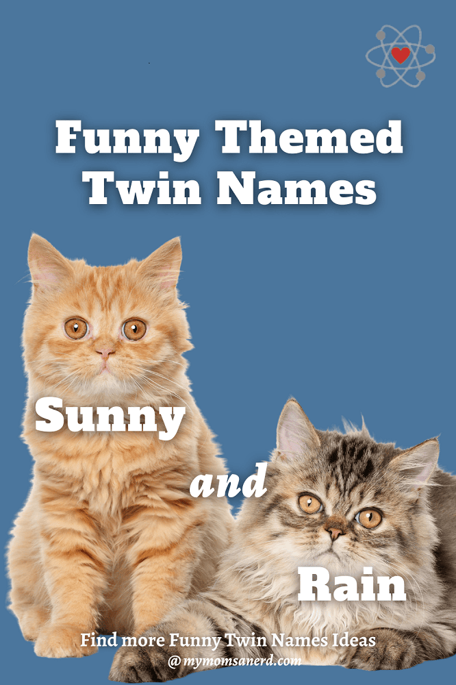Funny Twin Names